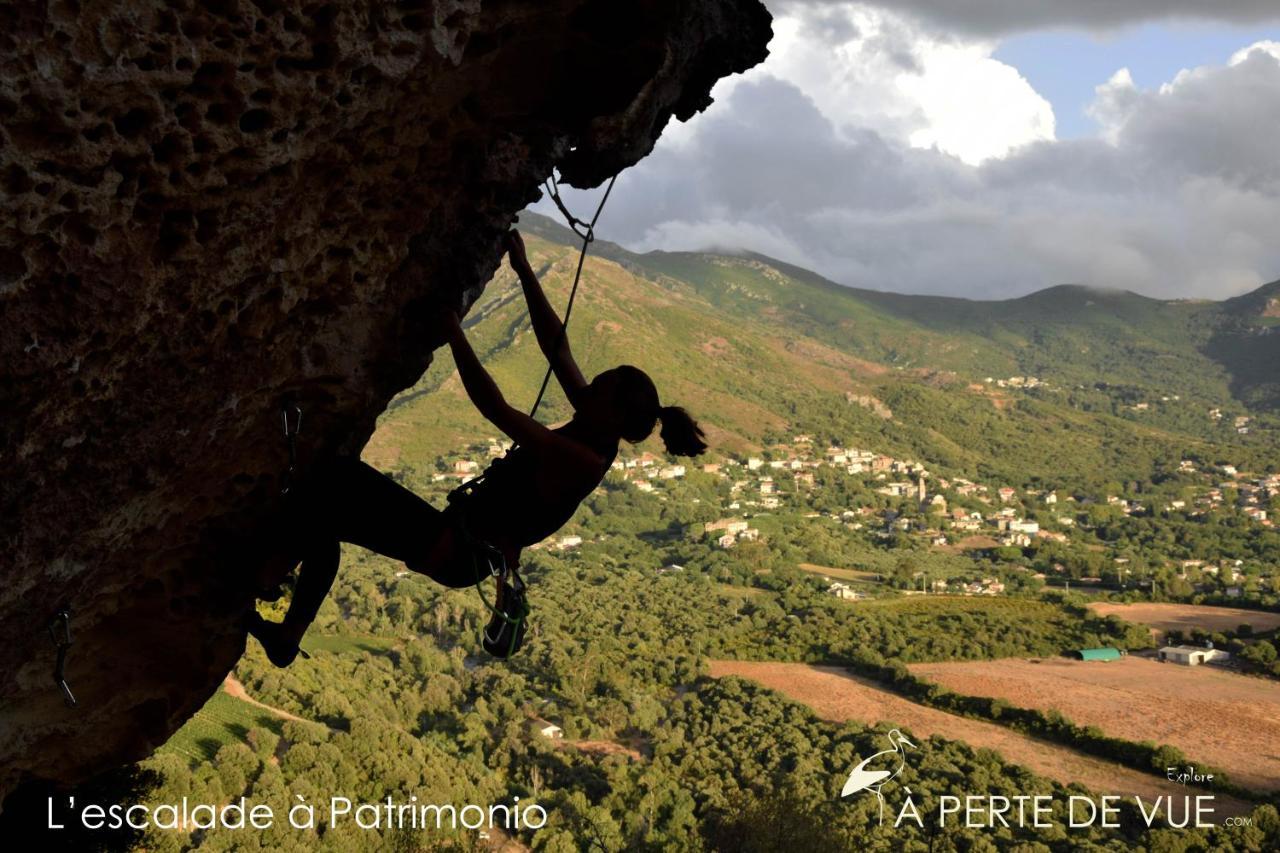 Chambre D'Hotes A 5Mn Des Plages Patrimonio Bagian luar foto