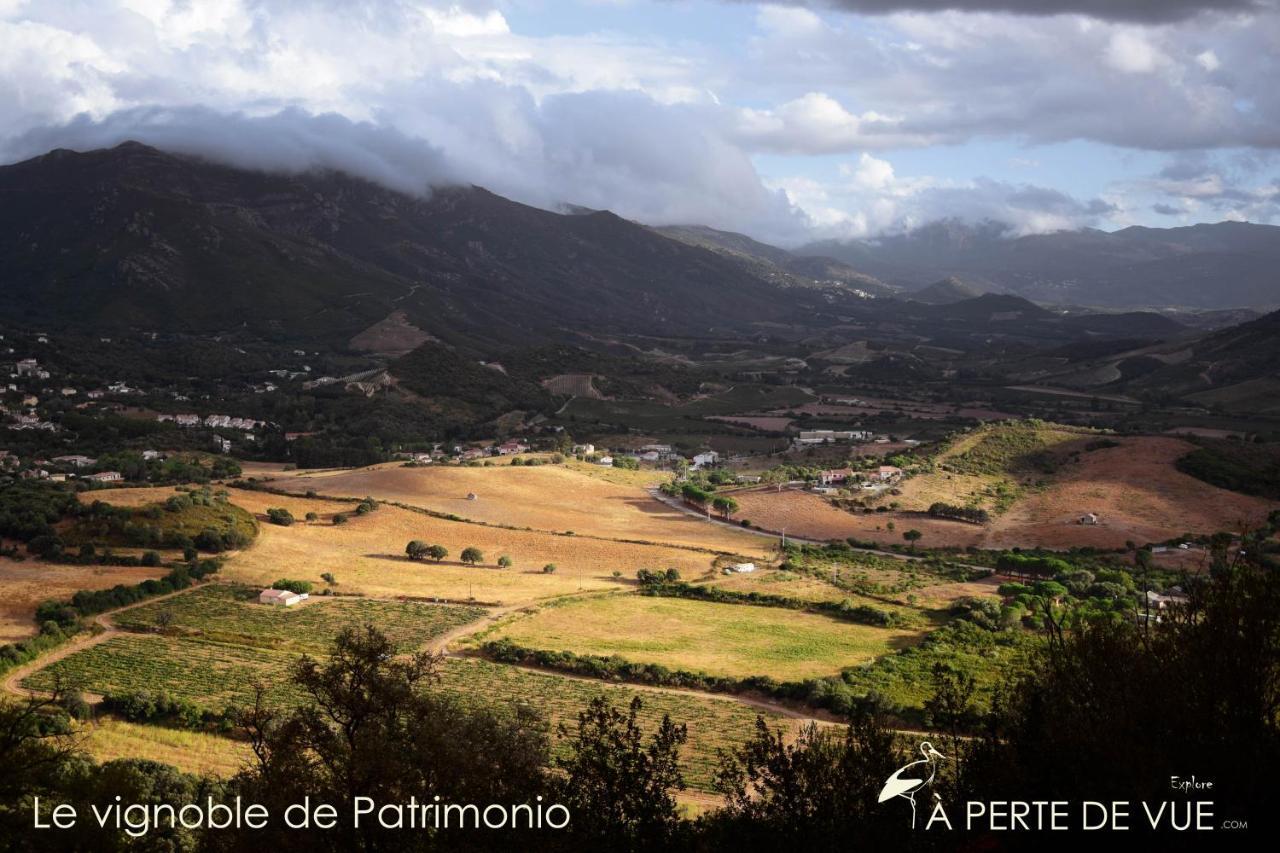 Chambre D'Hotes A 5Mn Des Plages Patrimonio Bagian luar foto