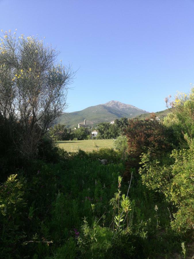 Chambre D'Hotes A 5Mn Des Plages Patrimonio Bagian luar foto